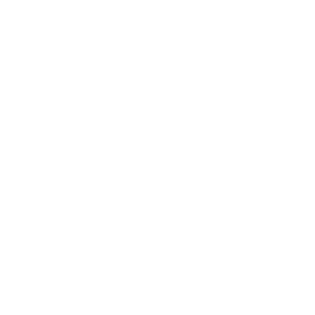 FDS Consulting